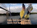 Cape Cod Canal Striper Fishing: Quick Visit Before Work