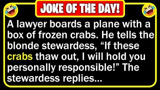 🤣 BEST JOKE OF THE DAY! - A lawyer boards a plane with a box of... (Discretion Advised) | Funny Joke