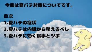 鍼灸師も実践する「夏バテ」予防のツボ