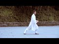 wudang sanfeng taijiquan 28 form