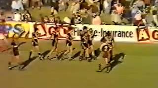 1981 Western Suburbs Magpies