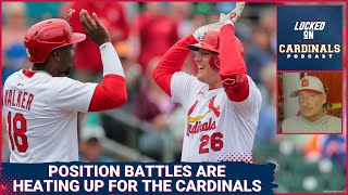 A Look At The Top Position Player Battles For The St. Louis Cardinals