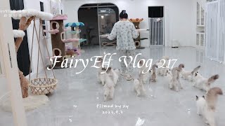 猫舍日常vlog-带八只小猫咪去绝育体检啦