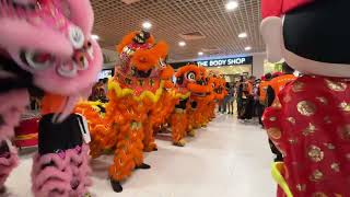 LION DANCE | NAM SIENG | 8 LIONS | PARKWAY PARADE | 5 FEB 2025