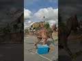 Dinosaur Park  di Paragon Mall Bintulu, Sarawak | #shorts