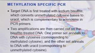 BIO203_Topic023