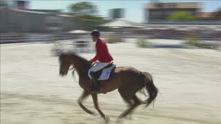 Ifj Szabó Gábor - TIMPEX BÖLCSÉSZ - CSIO5* - LONGINES FEI JUMPING NATIONS CUPTM OF HUNGARY