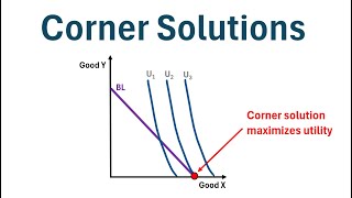 Microeconomics: Understanding Corner Solutions