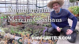 Rundgang In Der Gärtnerei Im März