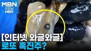 [인터넷 와글와글] 키조개 손질하다 흑진주 발견한 유튜버 [굿모닝 MBN]