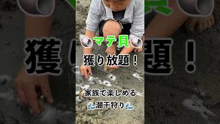 マテ貝が取り放題in兵庫県たつの市新舞子海水浴場#shorts #short