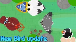 Mope.io new bird Update//Falcon,Pelican,... (very quick video sorry)//