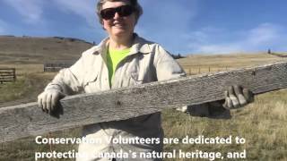 Tidying the Grasslands at Napier Lake