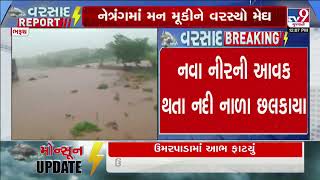 Netrang River receives fresh intake of water due to heavy rains in Bharuch | Gujarat Rain | Monsoon