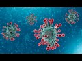 Washington State Department of Health update on novel coronavirus response