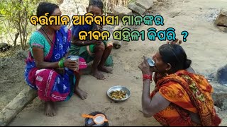 ବର୍ତ୍ତମାନ ଆଦିବାସୀ ମାନଙ୍କର ଜୀବନ ସହିଳୀ କିପରି  ! #quotes #music