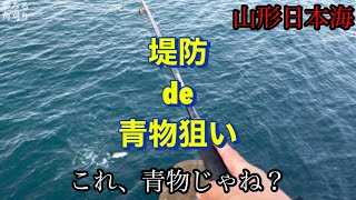 【ライトショアジギング】マキマキがハマらない！？ヒットゥゥパターンは？ヒットゥゥルアーは？？　　@turisuru.kakugari.555