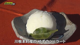 静岡・川根本町特産の「ゆず」を使ったジェラート考案　販路模索