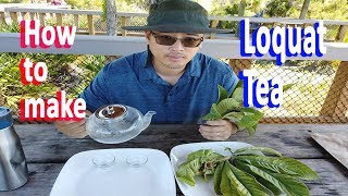 How to make Loquat Tea from Fresh Loquat Leaf - GardenHula