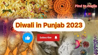 ਆਓ ਦੇਖੀਏ ਕਿ ਅਸੀਂ 2023 ਦੀ ਦੀਵਾਲੀ ਕਿਵੇਂ ਮਨਾਈ | Diwali 2023