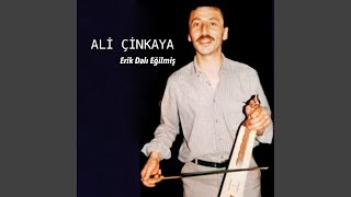 Erik Dalı Eğilmiş