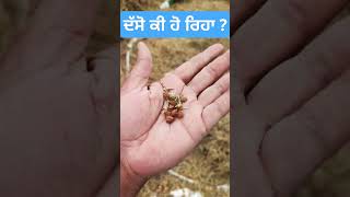 ਦੱਸੋ ਕੁਮੈਂਟ ਕਰਕੇ