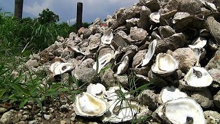 Morocco's Famous Oyster Capital Bursts with a Unique Flavour