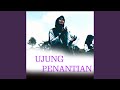 Ujung Penantian