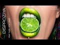 DISPROZIYA Deep House 2026 | Moonlit Groove