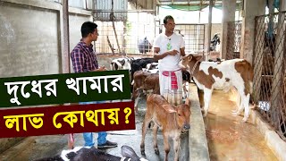 দুধের খামার লাভ কোথায় ? কোথায় প্রতিদিন ২শ লিটার দুধ | গরুর খামার কিভাবে করতে হয় | Dairy farm