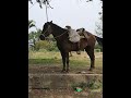 Un campesino confronta a un estafador.