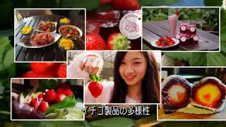 イチゴ草莓 台湾休閒農業発展協会は Taiwan Fruits  Beyond Sweet  5分鐘FULL HD短