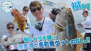 【釣り時季】旬のイサキ狙い！博多湾で多彩魚ゲットのSLJ!