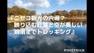 『ニセコ観光の穴場？映り込む紅葉と空が美しい鏡沼までトレッキング