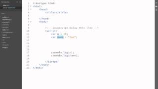 1 Basic JavaScript Variables and Objects
