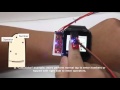 TouchSense: Expanding Touchscreen Input Vocabulary Using Different Areas of Users' Finger Pads