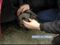 How to Install Car Brakes : How to Inspect Brake Calipers