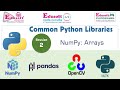 Common Python Libraries - NumPy: Arrays