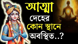 আত্মা দেহের কোন স্থানে অবস্থিত ?/দেহের ভিতর আত্মার বাসস্থান/Where does the soul live in the body ?