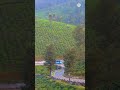 VALPARAI bus travel song💖 #trending #vibes #travel #lovesong #love #song #vlog #bus #music #like