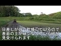 第２２９回　進む季節、雑草が増えた田んぼの代かき（前編）