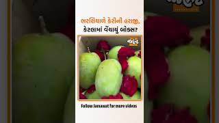 ગુજરાતમાં જ નહીં પણ દેશમાં ઐતિહાસિક ઘટના, શિયાળે કેરીનું આગમન અને હરાજીમાં બોલાયો અધધ ભાવ| Jamawat