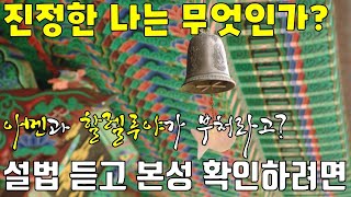 진정한 나는 무엇인가? 참마음, 본래면목, 주인공, 참나는 무엇인가? 이뭣고? 직지인심, 할렐루야 아멘이 부처인 이유