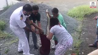 WATCH | Kochi woman catches 20kg python