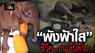 “พังฟ้าใส” ชีวิตบนเส้นด้าย RIP ฟ้าใส  | อีจัน EJAN