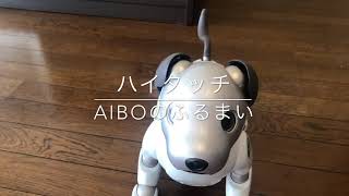 【aiboのふるまい】ハイタッチ