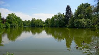 4K The Pond Spring SWITZERLAND 池春