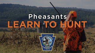 Learn to Hunt: Pheasants
