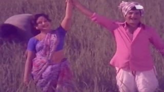 Evaridira Ee Bhoomi Video Song || Manushulantha Okkate Movie || N.T.RamaRao, Jamuna, Manjula