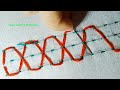 very easy and beautiful border line stitch for beginners border embroidery design hand stitch